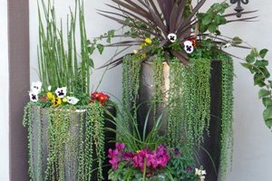 Feng-Shui-your-outdoors_OM-Times