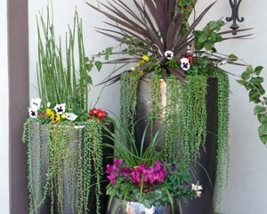 Feng-Shui-your-outdoors_OM-Times