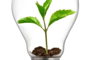 The-energy-you-bring_OM-Times