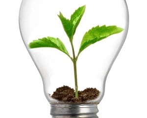 The-energy-you-bring_OM-Times