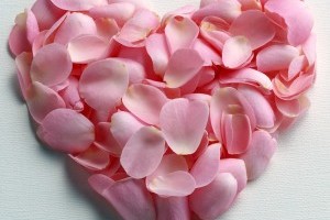 la-vida-es-una-historia-de-amor