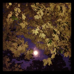 luna-de-la-cosecha