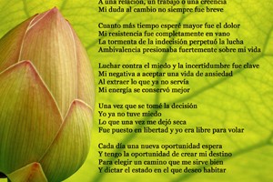 comienzos_nuevos