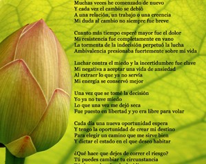 comienzos_nuevos