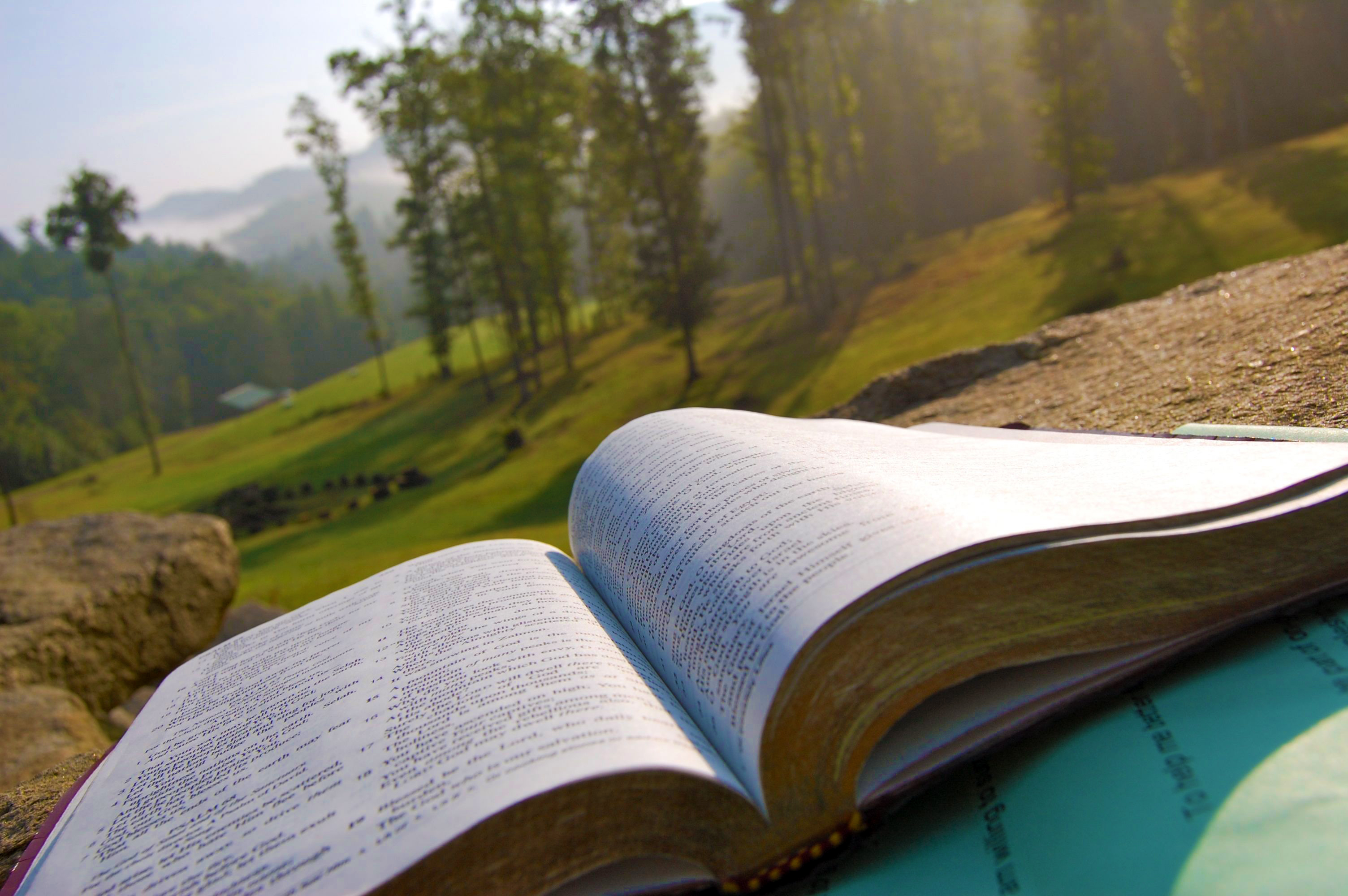 la-diferencia-entre-gnosis-gnostico-gnosticismo