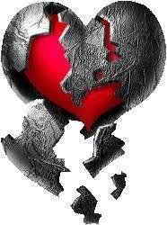 la-infeccion-de-la-perfeccion