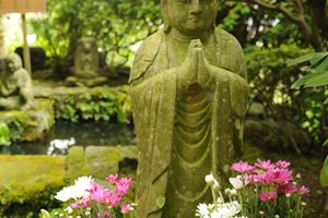 jardineria-yoga-guru-interior