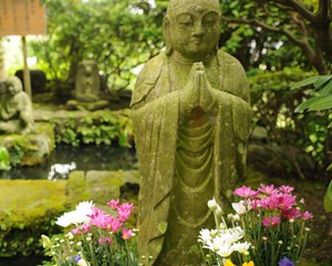 jardineria-yoga-guru-interior
