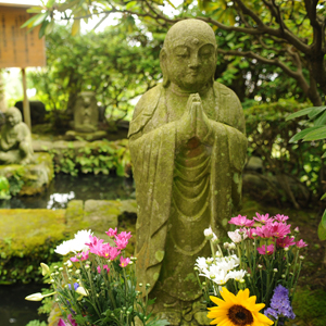 jardineria-yoga-guru-interior