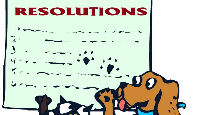 consejos-para-escribir-resoluciones
