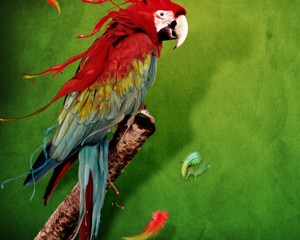 animales-zodiacales