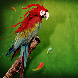 animales-zodiacales