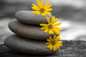 meditacion-vipassana