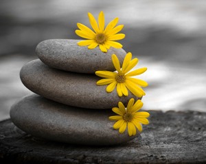 meditacion-vipassana