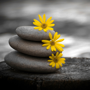 meditacion-vipassana