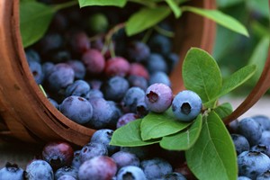 12-alimentos-para-bajar-el-azucar-en-la-sangre
