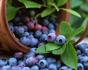 12-alimentos-para-bajar-el-azucar-en-la-sangre
