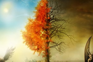separaste-tu-terreno-en-el-cielo