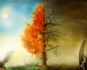 separaste-tu-terreno-en-el-cielo