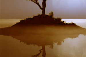 omtimes_NUESTRO REFLEJO