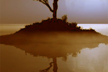 omtimes_NUESTRO REFLEJO