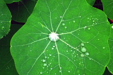 CICLOS REPETITIVOS