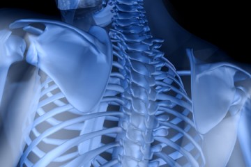 LOS CICLOS NATURALES DEL CUERPO_omtimes