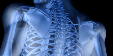 LOS CICLOS NATURALES DEL CUERPO_omtimes