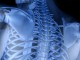 LOS CICLOS NATURALES DEL CUERPO_omtimes